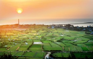 Du lịch Lý Sơn một điểm đến tuyệt đẹp bạn không thể bỏ qua