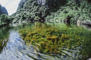 Du lịch Ninh Bình trải nghiệm mới với một vẻ đẹp lạ kỳ